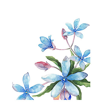 手绘水彩蓝色花朵背景图