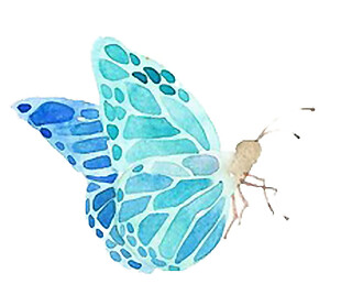 手绘水彩蓝色蝴蝶背景图