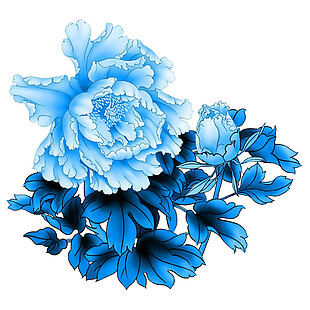 蓝色花朵素材图片