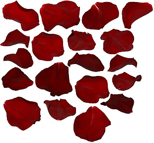 红色玫瑰花瓣图案