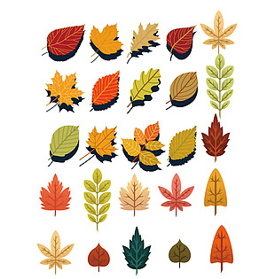 手绘秋天树叶图案