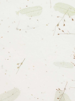 手绘白色树叶H5背景素材