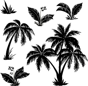椰子树装饰素材