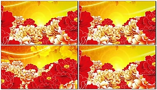 牡丹花国花中国风动漫花开视频素材