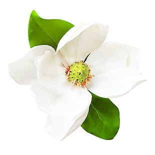 小清新白色花朵元素