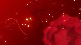 金色光斑粒子和红色玫瑰花背景素材