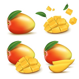 写实的美味水果芒果插画