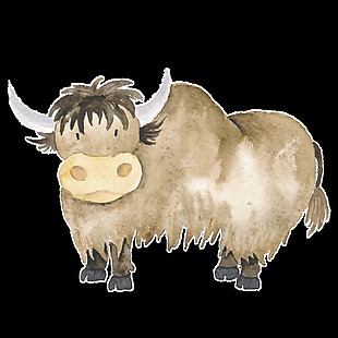 水彩手绘动物水牛插画