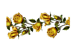 金色玫瑰花图案