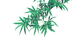 高清绿色竹叶图案