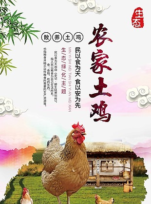 农家土鸡时尚插画海报