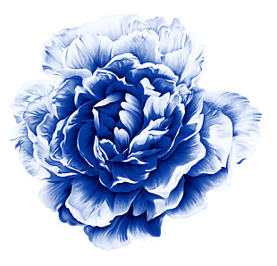 青花瓷花朵元素素材图片