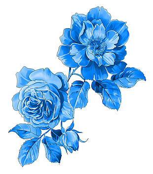 青花瓷玫瑰花素材图片