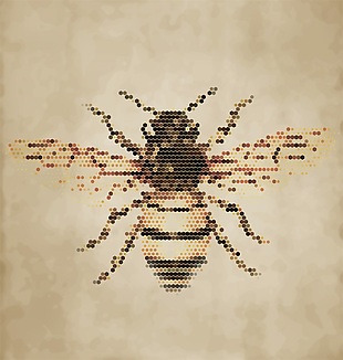 蜜蜂半调动物矢量素材