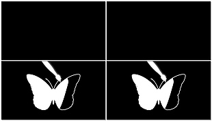 白色蝴蝶带通道的卡通动物绘画过程视频素材