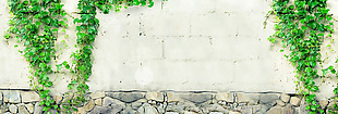 清新绿色植物砖墙淘宝全屏banner背景