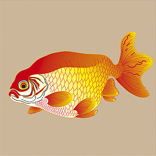 金鱼花纹背景图