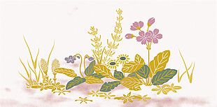 花草植物花纹背景图