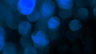 梦幻蓝色镜头光斑光晕动态视频素材