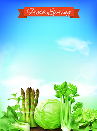 健康绿色蔬菜农场海报背景素材