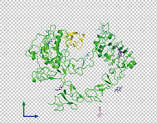 绿色分子模型免抠png透明图层素材