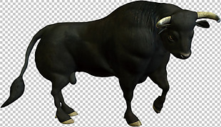 漂亮黑色公牛免抠png透明图层素材