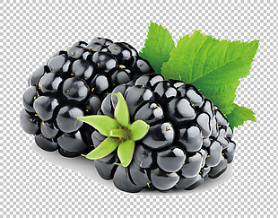 水果黑莓图片免抠png透明图层素材