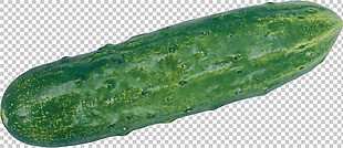 绿色黄瓜图片免抠png透明图层素材