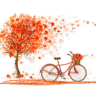秋叶自行车