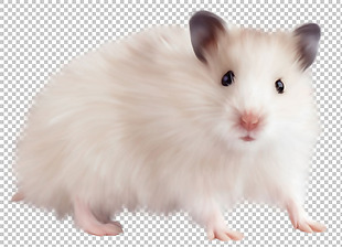 可爱老鼠图片免抠png透明图层素材