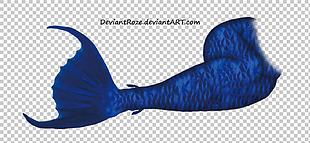 蓝色美人鱼尾巴免抠png透明图层素材