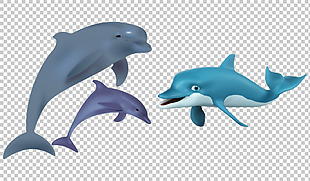 漂亮蓝色海豚免抠png透明图层素材
