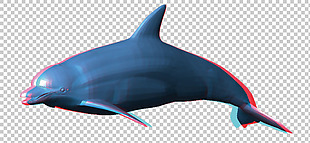 漂亮海豚免抠png透明图层素材