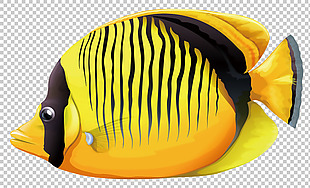 漂亮黄色热带鱼免抠png透明图层素材