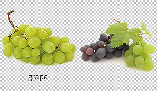 两种葡萄免抠png透明图层素材