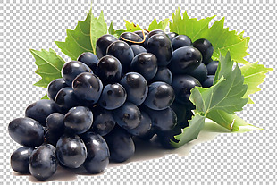 新鲜的葡萄免抠png透明图层素材