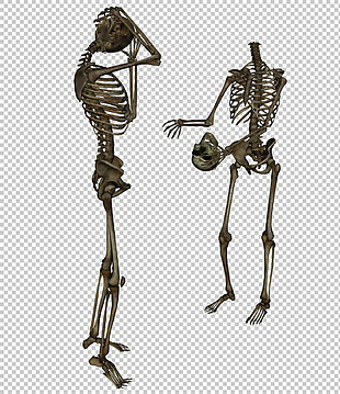 人体形态骨架免抠png透明图层素材