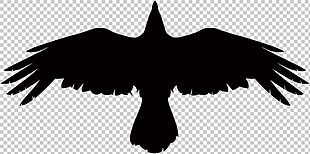 飞翔的乌鸦免抠png透明图层素材