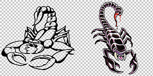 蝎子纹身手稿免抠png透明图层素材
