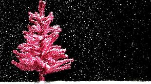 下雪时红色圣诞树视频素材