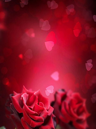 浪漫玫瑰红色背景