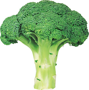 绿色菜花西兰花png元素素材