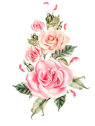 粉色水彩玫瑰png元素素材