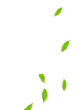 绿色漂浮树叶png元素素材