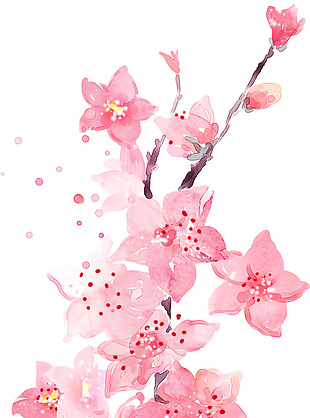粉色水彩桃花png元素素材