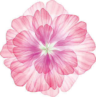 粉色透明花朵png元素素材