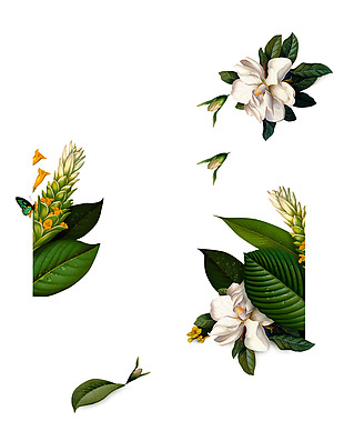 绿植白色花朵装饰png元素素材