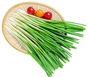 绿色韭菜蔬菜png元素素材
