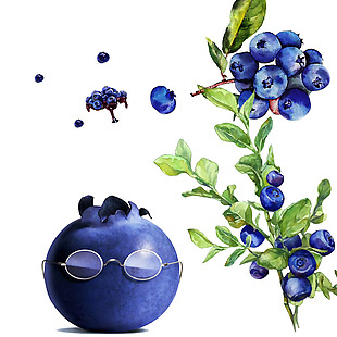 卡通手绘蓝莓素材