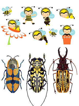 卡通蜜蜂素材和卡通甲壳虫